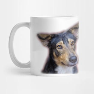 dog Mug